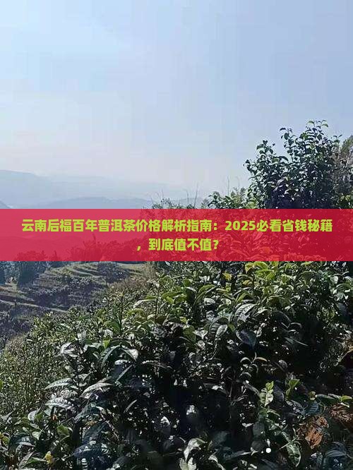云南后福百年普洱茶价格