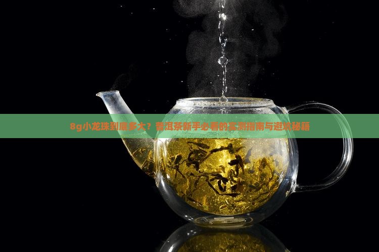 普洱茶8g小龙珠直径多大