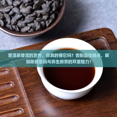 普洱茶普洱的世界