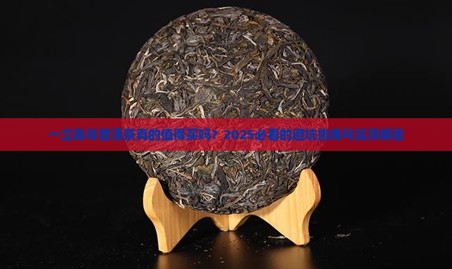 一立陈年普洱茶