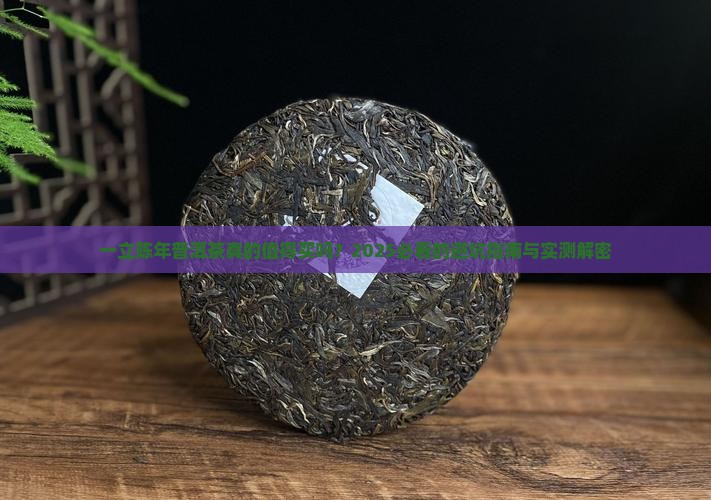 一立陈年普洱茶