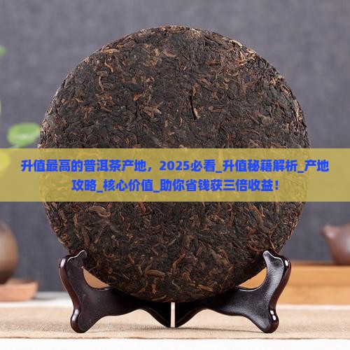 升值最高的普洱茶产地
