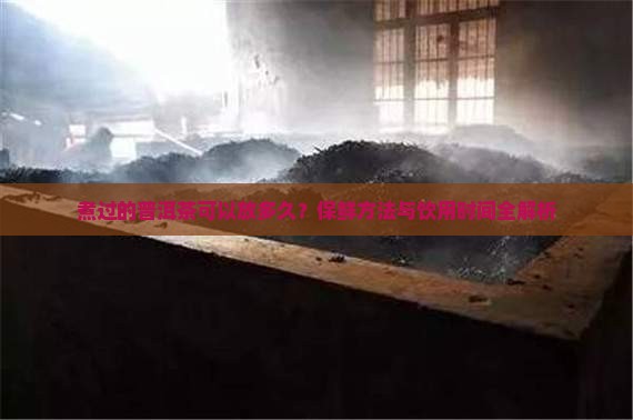 煮过的普洱茶可以放多久