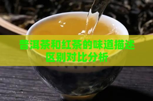 普洱茶和红茶的味道描述