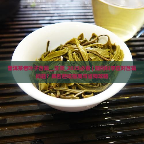 普洱茶老叶子含氟 普洱茶老叶子含氟
