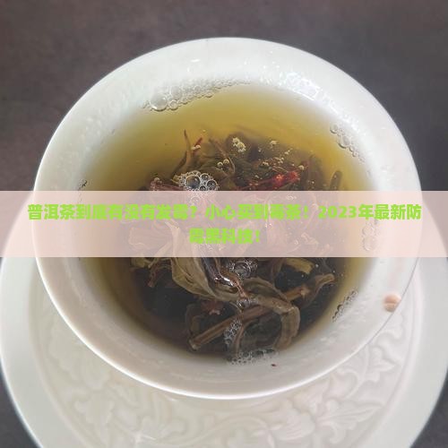 普洱茶有没有发霉