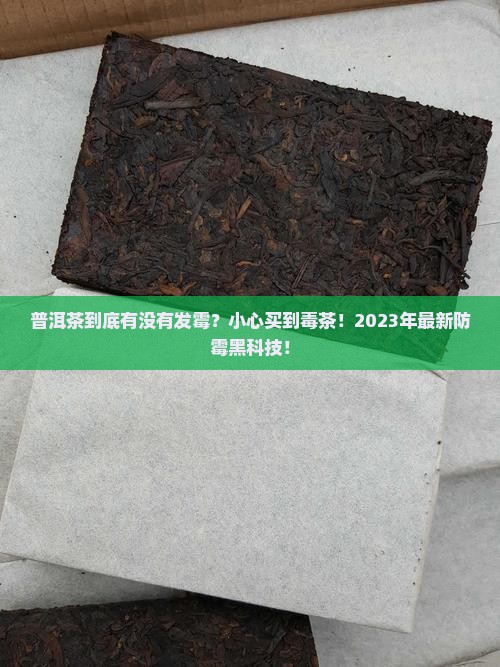 普洱茶有没有发霉