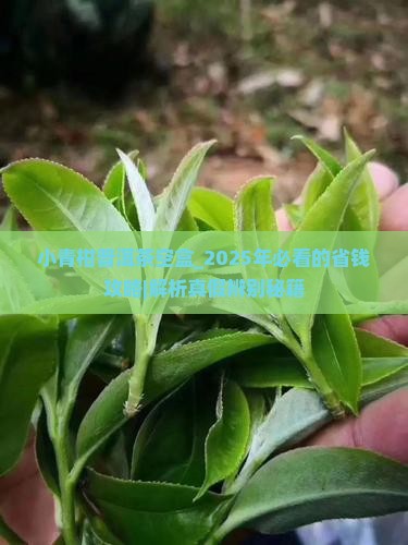 小青柑普洱茶空盒