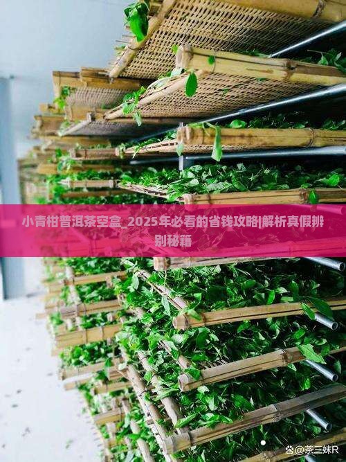 小青柑普洱茶空盒