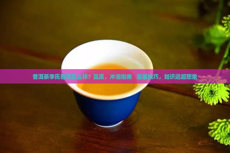 普洱茶李氏普茗