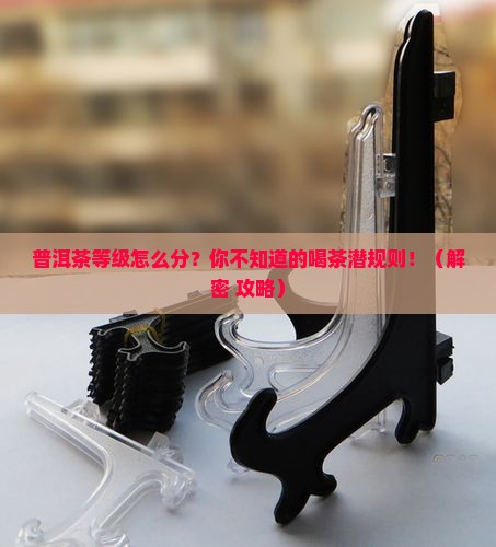 普洱茶怎么划分等级 普洱茶怎么划分等级
