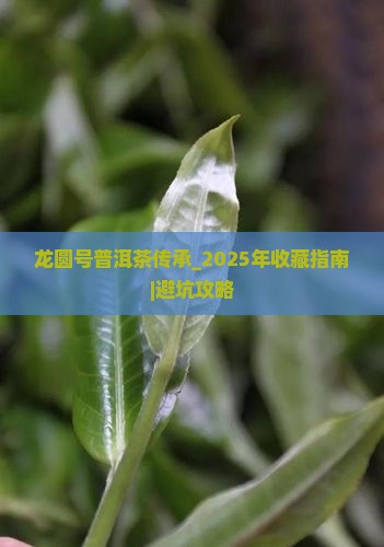 龙圆号普洱茶传承