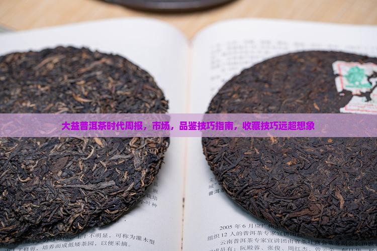 大益普洱茶时代周报