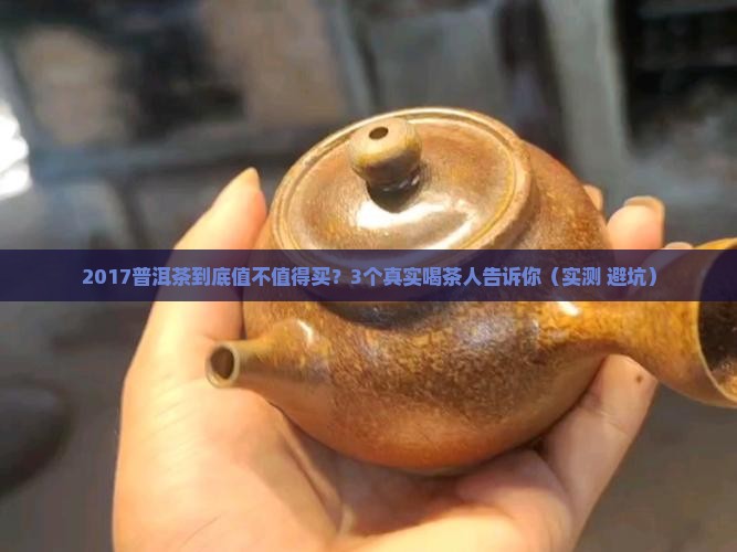 2017大师普洱茶