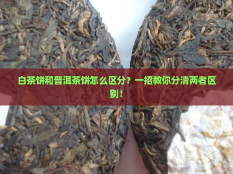 白茶饼和普洱茶饼怎么区分