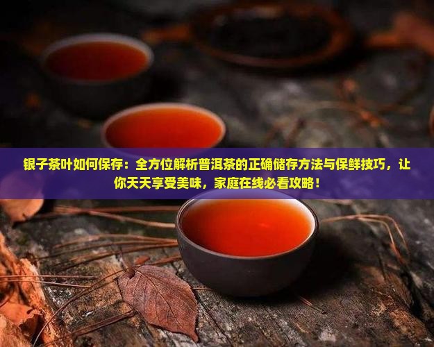 碎银子茶如何保存