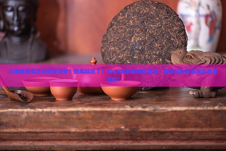 云南哪里买正宗的普洱茶