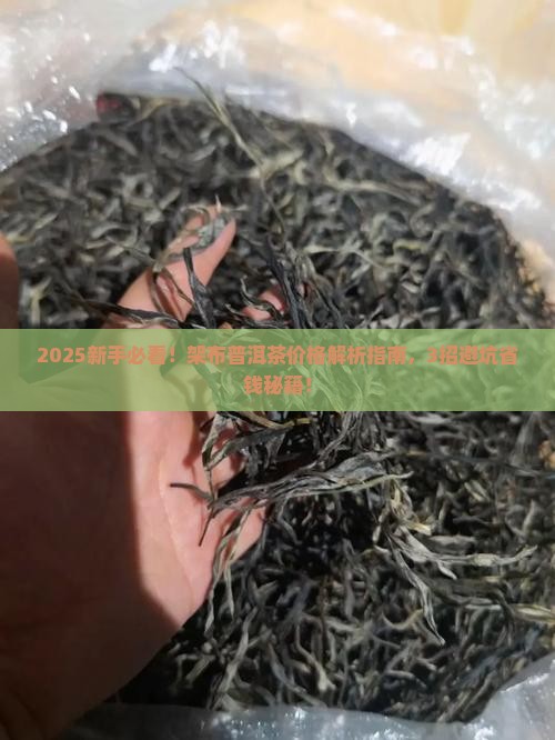 架布普洱茶价格查询