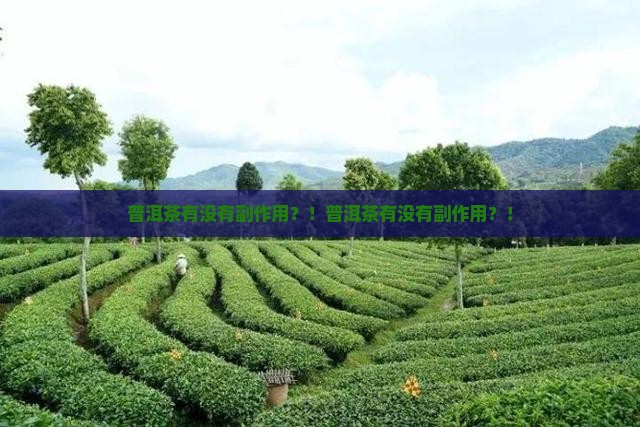 普洱茶有没有副作用