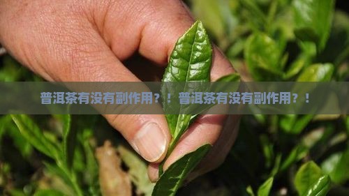普洱茶有没有副作用