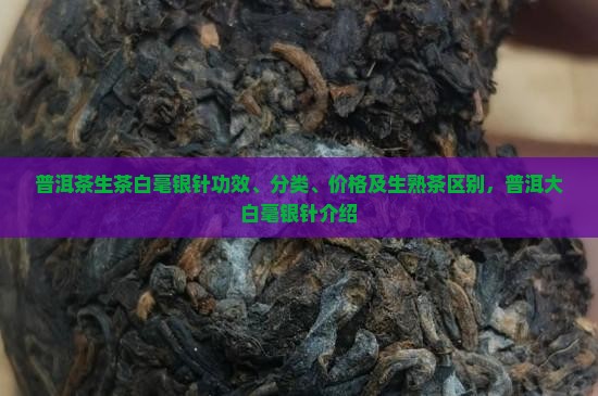 普洱茶生茶白毫银针