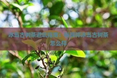 裕润祥冰岛古树茶怎么样