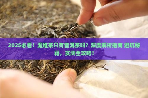 渥堆茶只有普洱茶吗