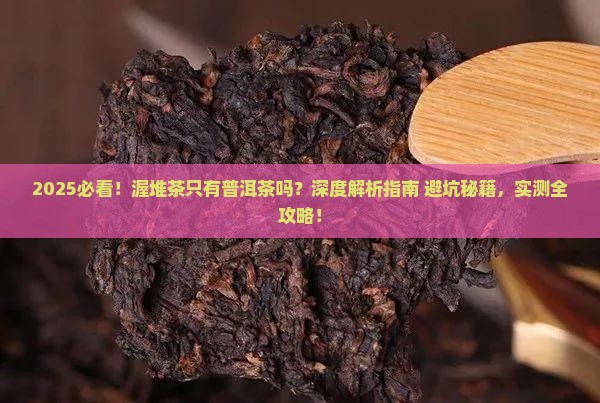 渥堆茶只有普洱茶吗