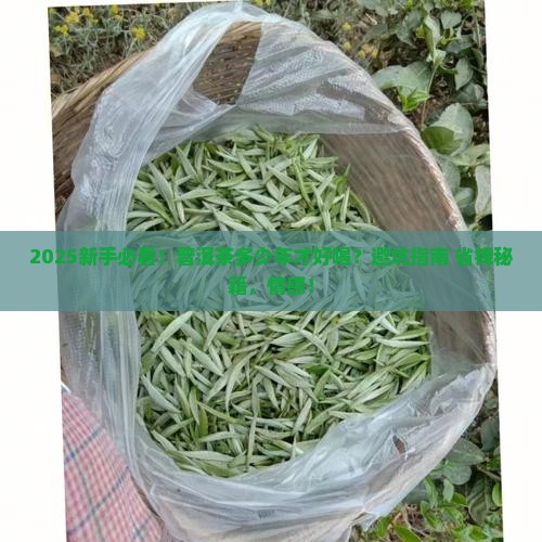 普洱茶多少年的比较好