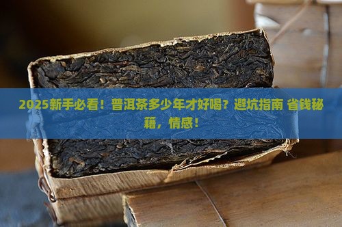 普洱茶多少年的比较好