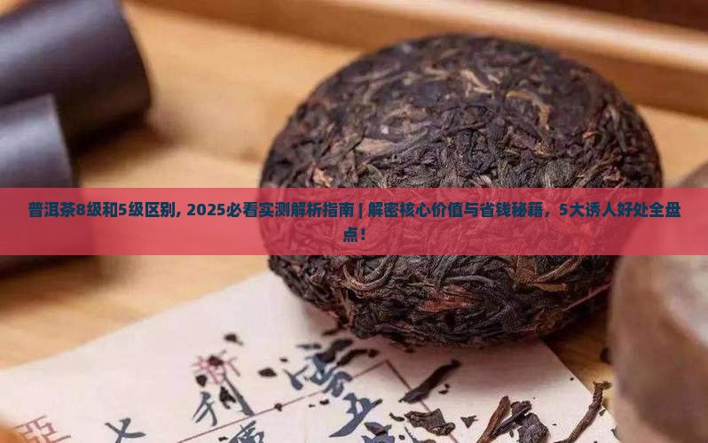 普洱茶8级和5级区别