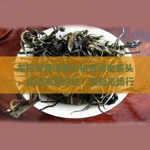 龙园号普洱茶价格查询老茶头