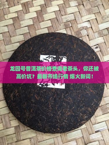 龙园号普洱茶价格查询老茶头