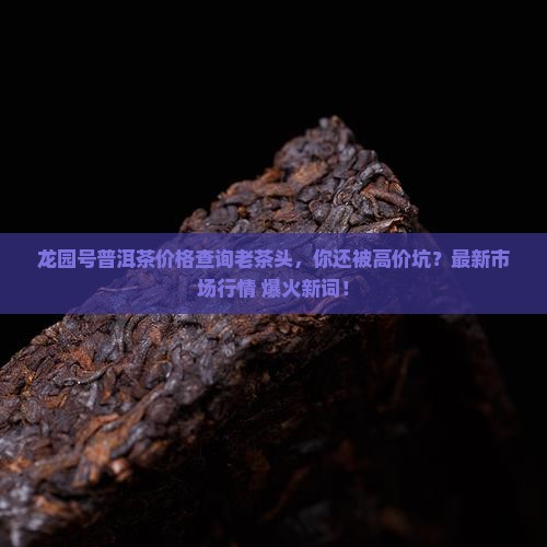 龙园号普洱茶价格查询老茶头
