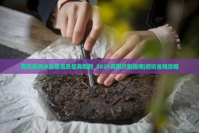 西双版纳冰岛普洱茶是真假的