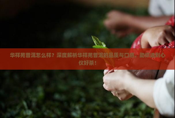 华祥苑普洱怎么样