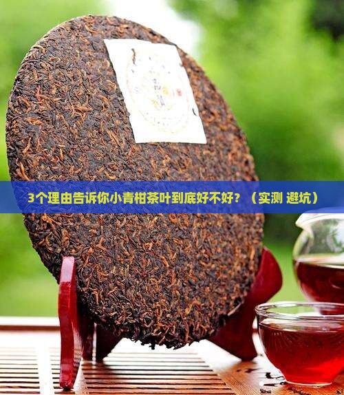 小青柑茶叶好不好