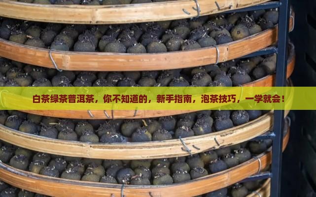 白茶绿茶普洱茶