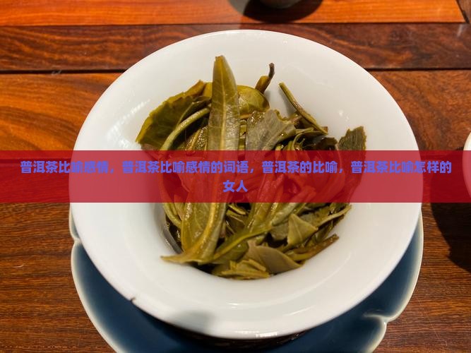 普洱茶比喻感情