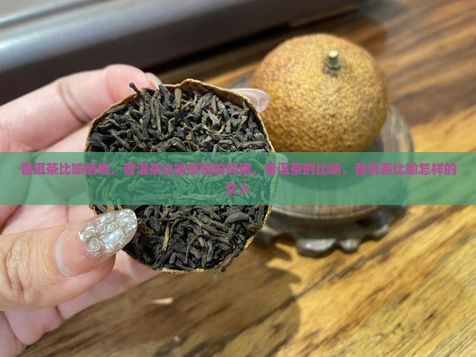 普洱茶比喻感情