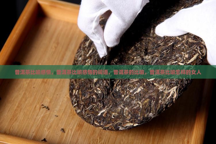 普洱茶比喻感情