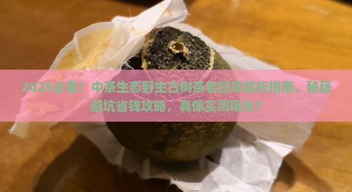 中茶生态野生古树茶老班章