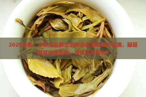 中茶生态野生古树茶老班章