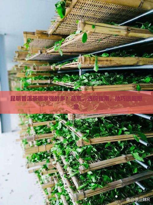 昆明普洱茶哪家强的多
