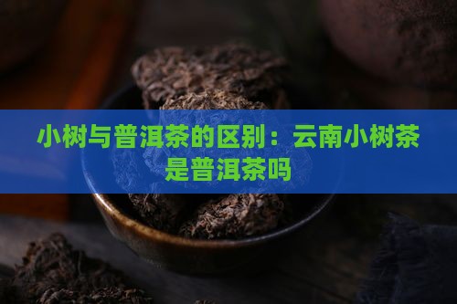 云南小树茶是普洱茶吗