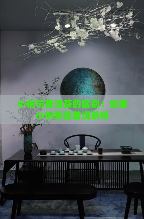 云南小树茶是普洱茶吗