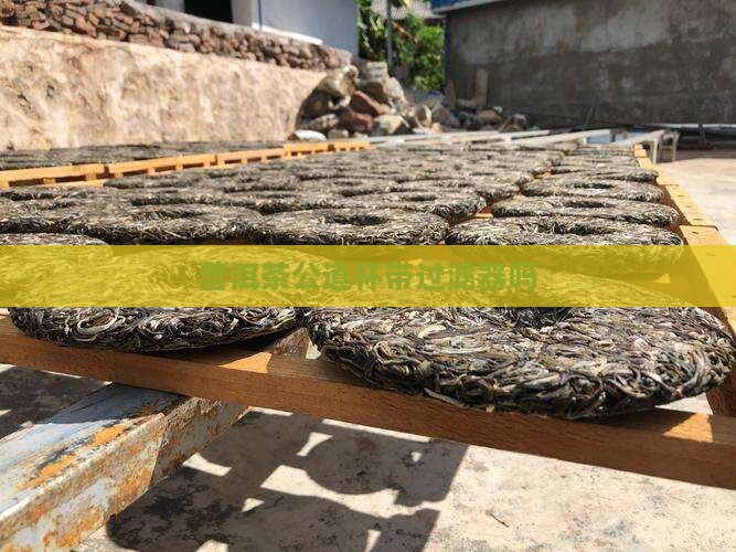 普洱茶公道杯带过滤