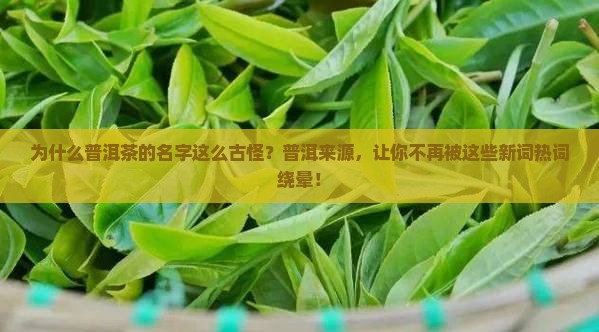 普洱茶普洱的来源