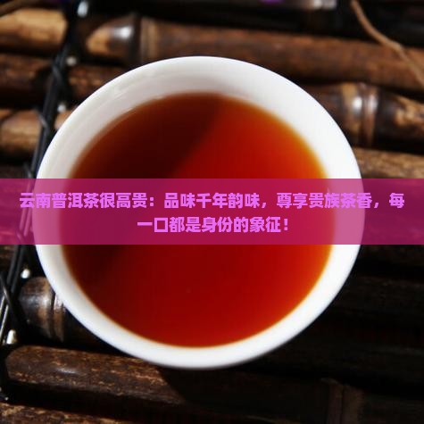 云南普洱茶很高贵