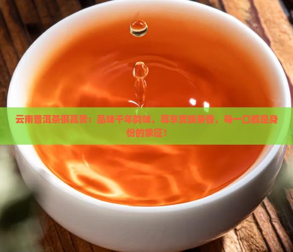 云南普洱茶很高贵